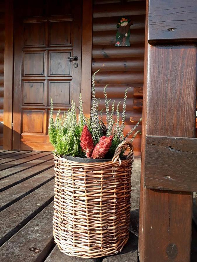 فيلا Domek U Karkonosza كاميين غورا المظهر الخارجي الصورة